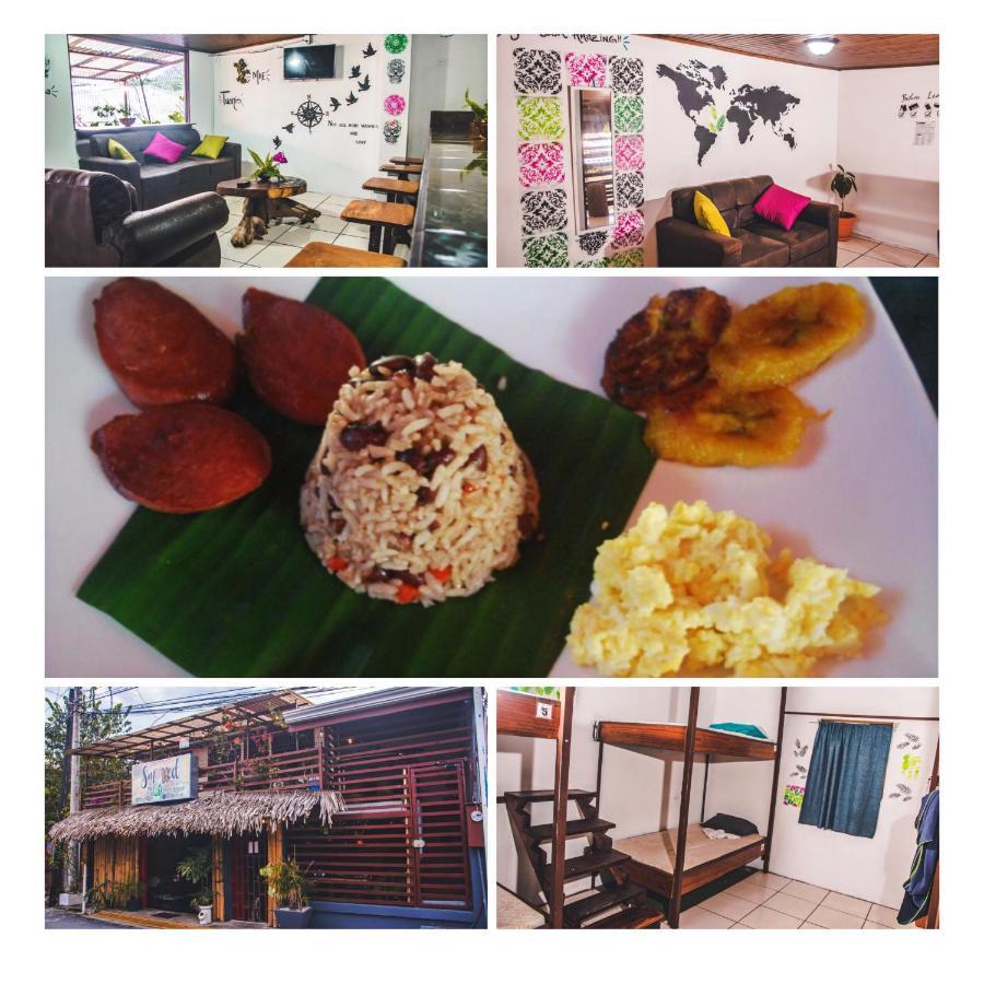 קפוס Passifloras Hostel מראה חיצוני תמונה